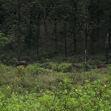 Lotus Jewel Forest Camping سلطان بتيري المظهر الخارجي الصورة
